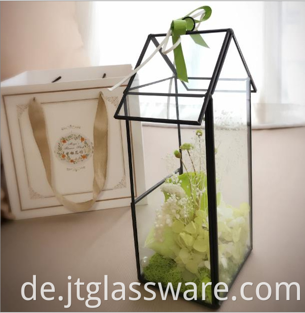 Design Hanging Glass Geometric Terrarium 